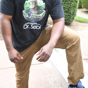 Sebi Alkaline Short-Sleeve Unisex T-Shirt-Infinite Life Lived | Intelligent Wear