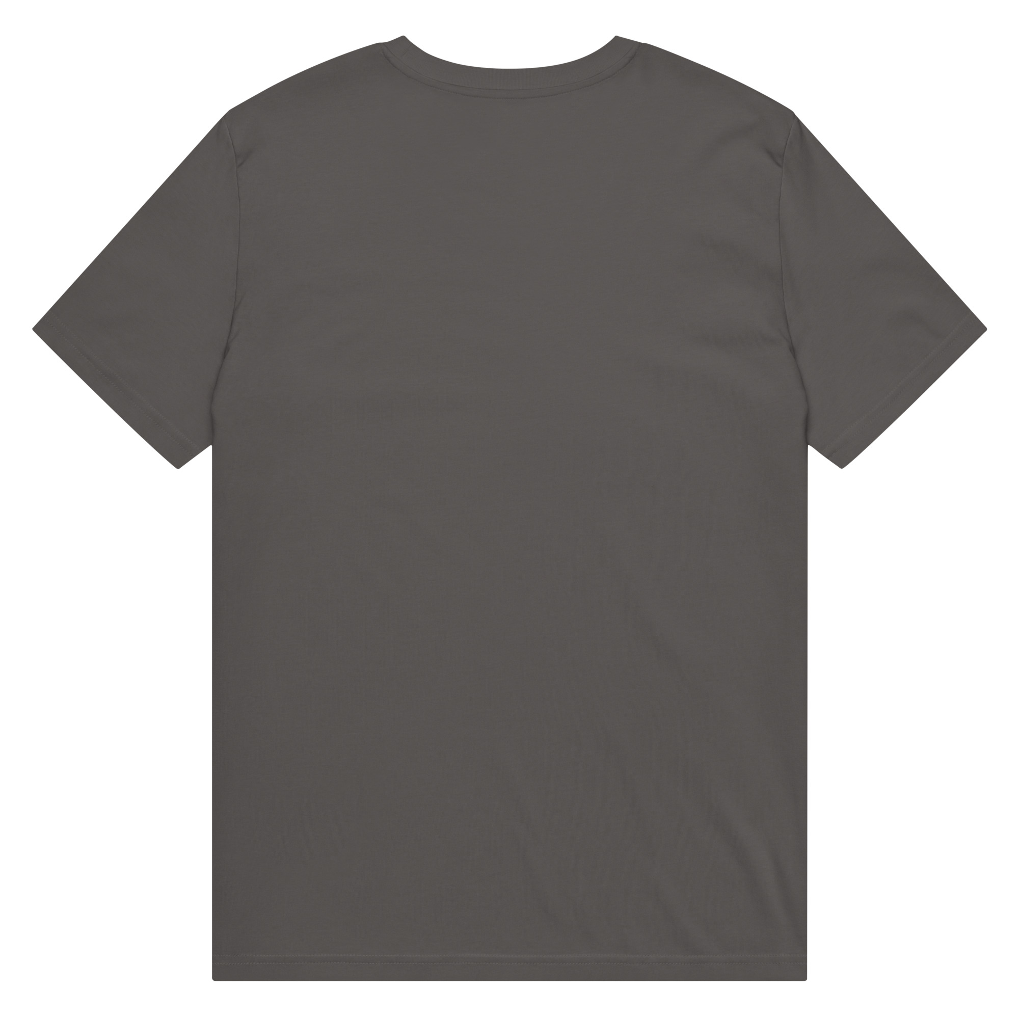 Stolen Wealth | Unisex organic mid-light t-shirt - Image 6